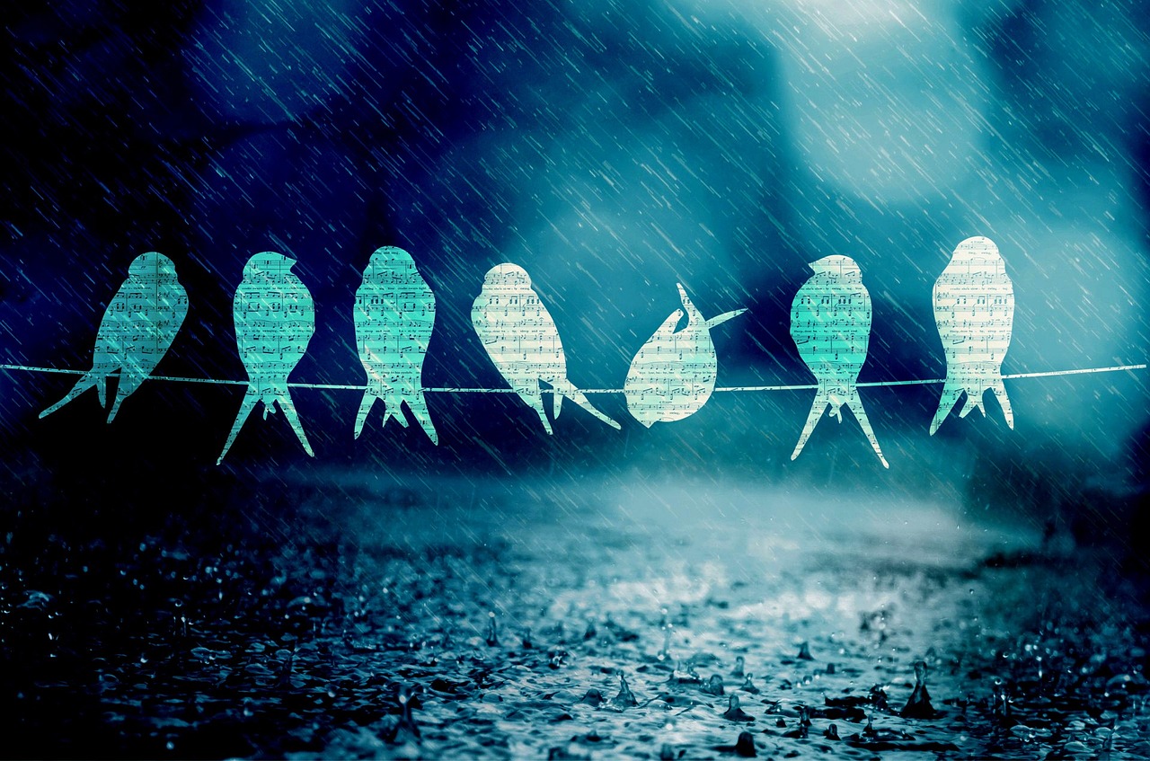 新鄉(xiāng)李寶琴，音樂中的勵(lì)志人生最新消息