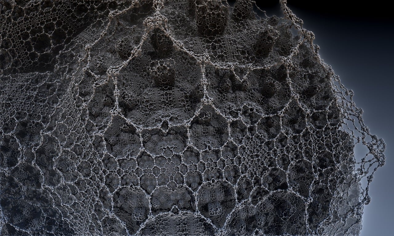 遼寧隋顯利最新動態(tài)，傳奇人物的嶄新篇章