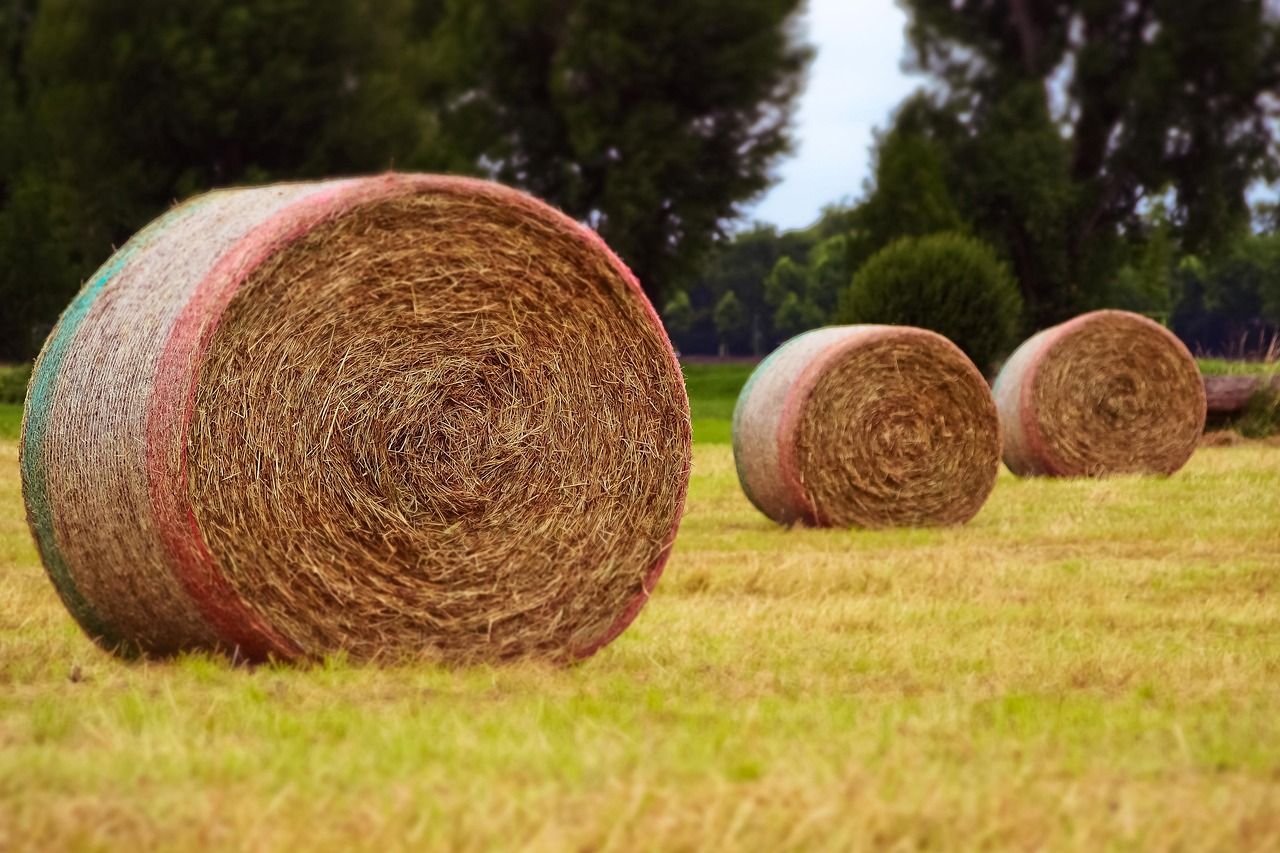 威寧貼吧網最新消息綜述，一網打盡最新動態(tài)