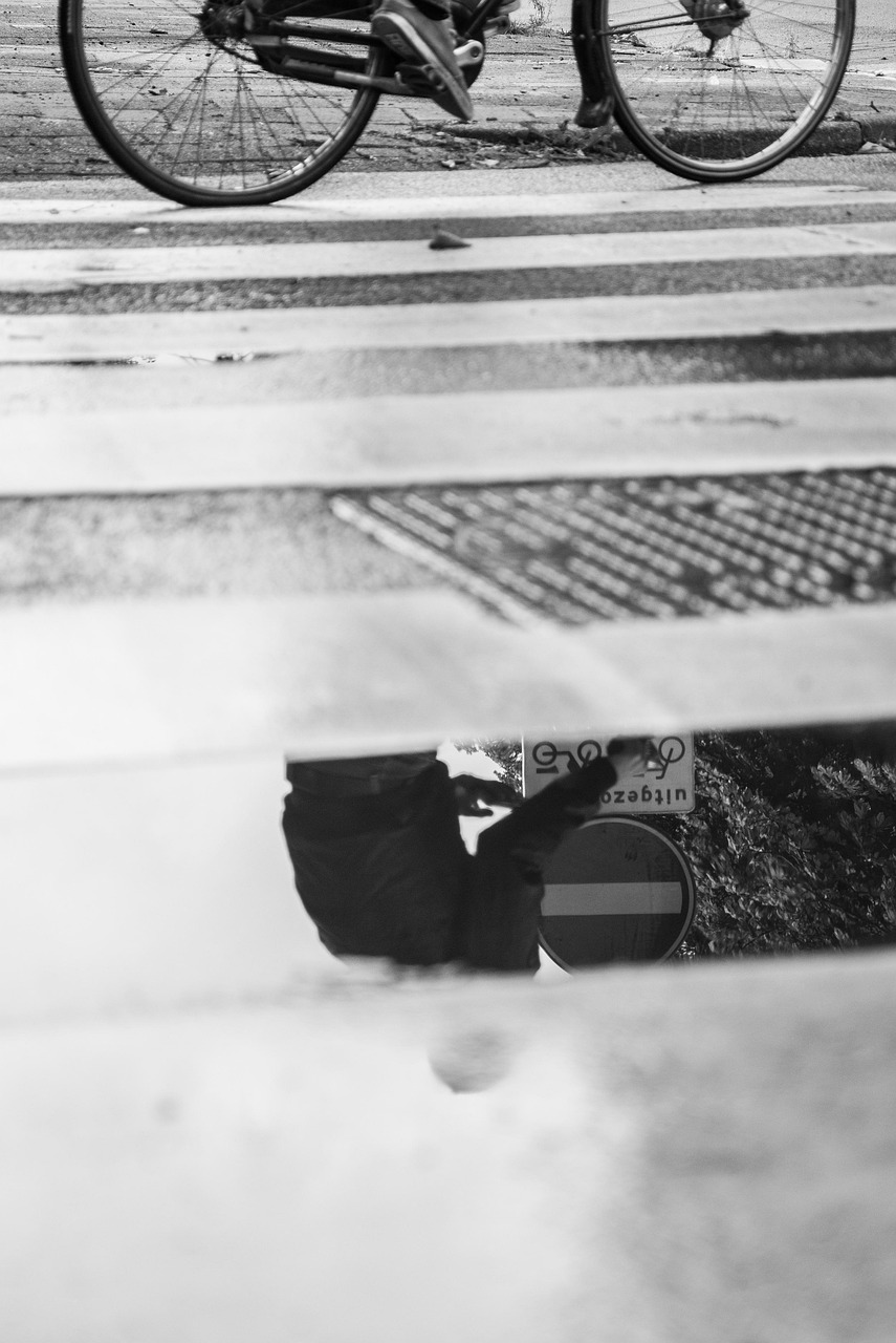 膠南陽(yáng)光一號(hào)最新動(dòng)態(tài)，城市發(fā)展的璀璨明珠持續(xù)更新中