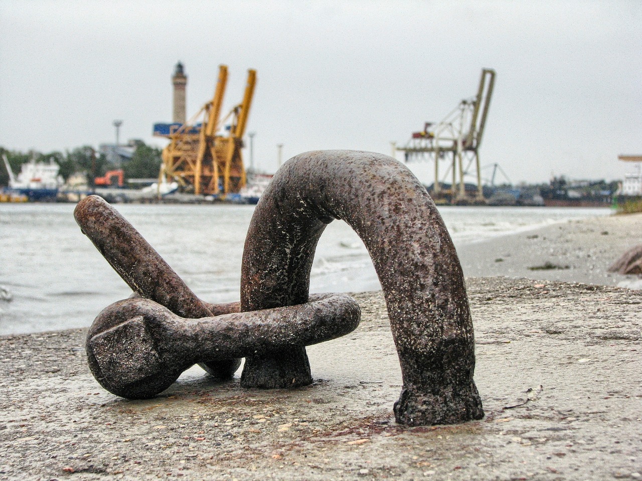 大連外經(jīng)貿(mào)最新消息概覽，最新動態(tài)與發(fā)展分析