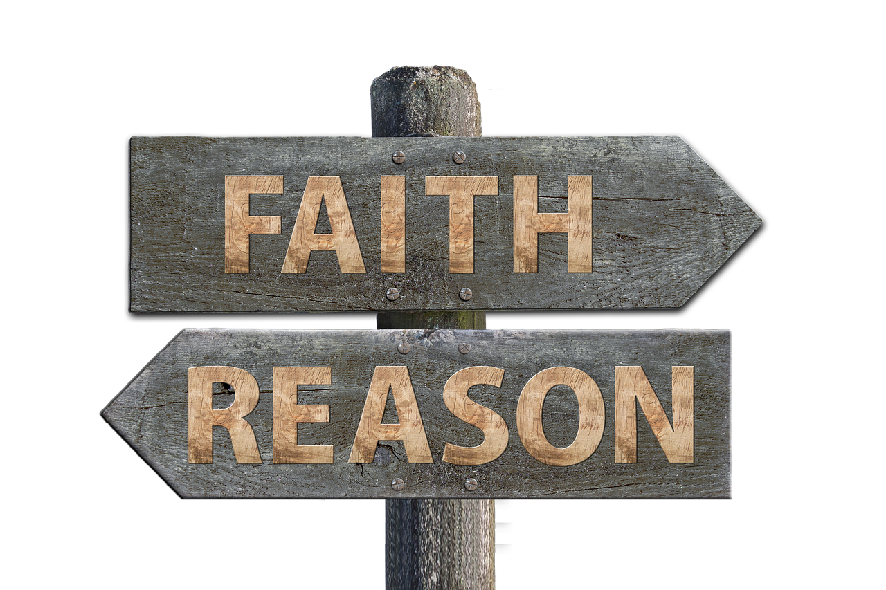 華圖教育股票最新動態(tài)，市場走勢、前景展望與最新消息