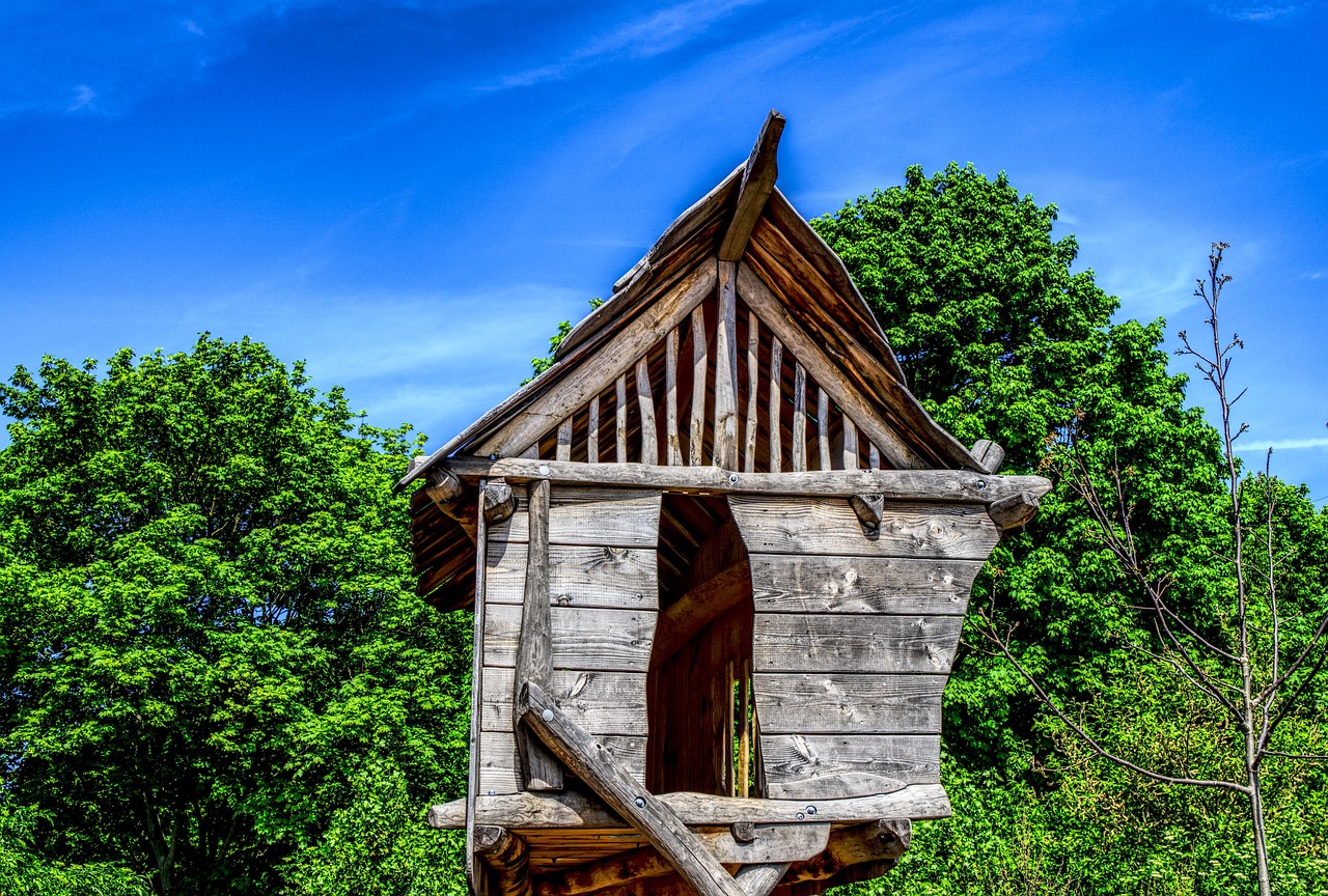 河南煤化集團(tuán)最新動態(tài)全面解讀