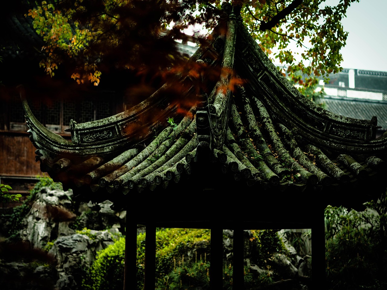 中國女排隊蓄勢待發(fā)，展現(xiàn)新篇章，最新消息與動態(tài)速遞