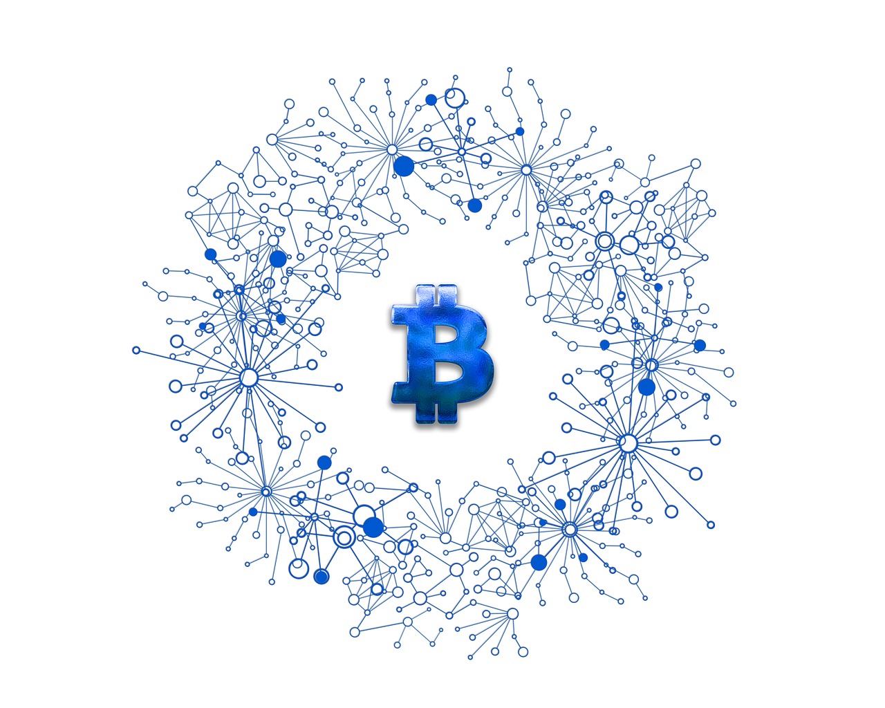 美人魚幣最新動(dòng)態(tài)，探索數(shù)字貨幣新領(lǐng)域