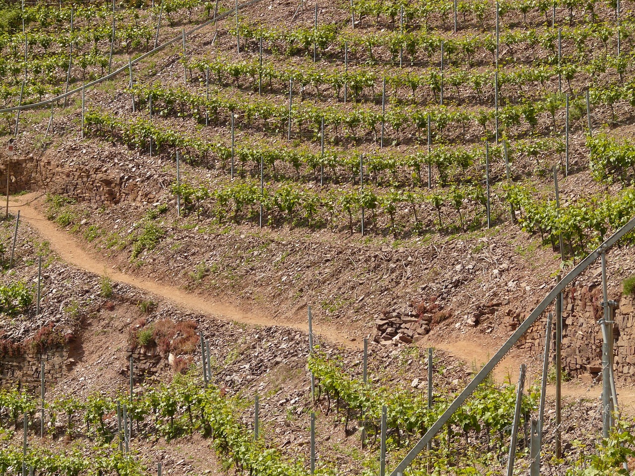 紅河谷論壇最新地址，全新探索與交流平臺(tái)的開(kāi)啟