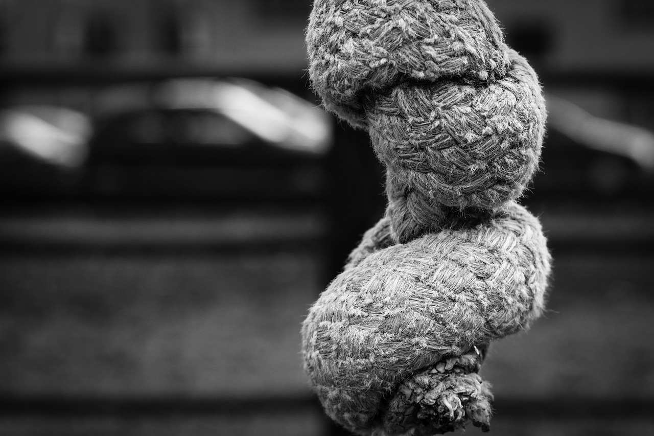 佳能RF鏡頭2023最新動態(tài)，引領攝影技術革新