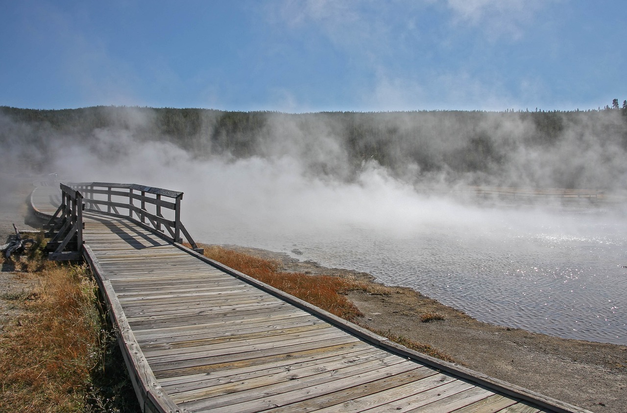 天逆態(tài)度 第14頁