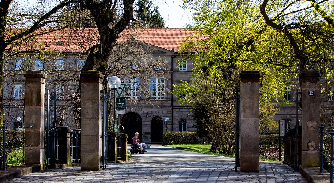 洛陽王城大道最新動態(tài)，城市發(fā)展的脈搏與未來展望