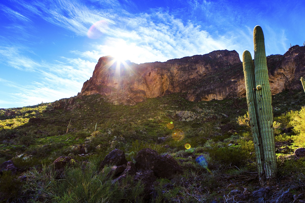 蘭州富士康最新動態(tài)，發(fā)展、影響與未來展望全面解讀