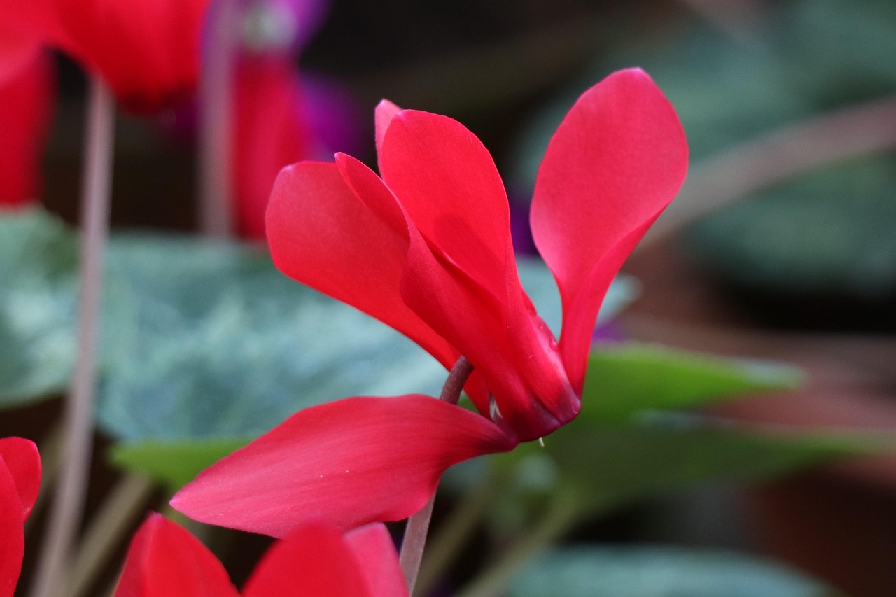 深度解析軍事動(dòng)態(tài)與全球安全局勢(shì)，軍情觀察最新一期報(bào)道速遞