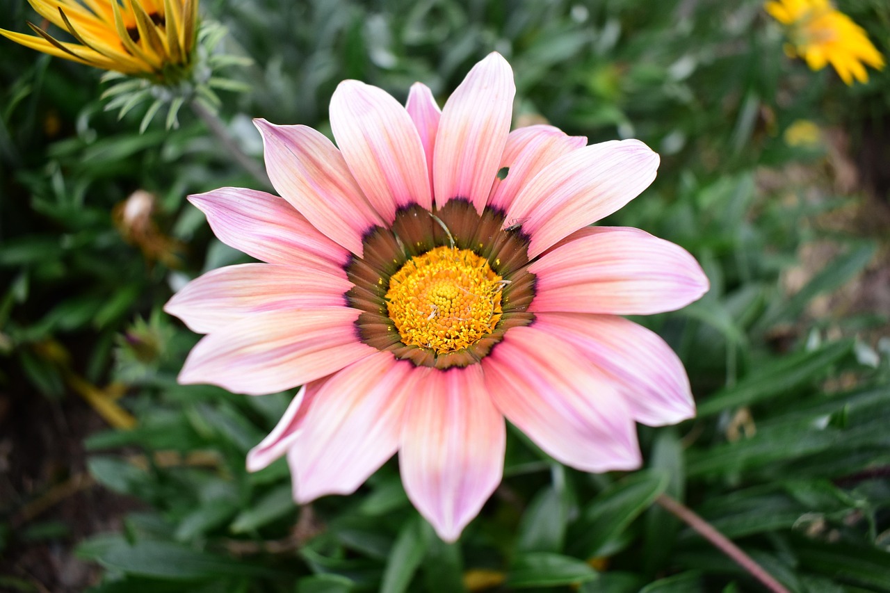 云聯(lián)惠重塑零售業(yè)格局的最新動(dòng)態(tài)報(bào)道，重塑零售業(yè)的力量與趨勢(shì)分析