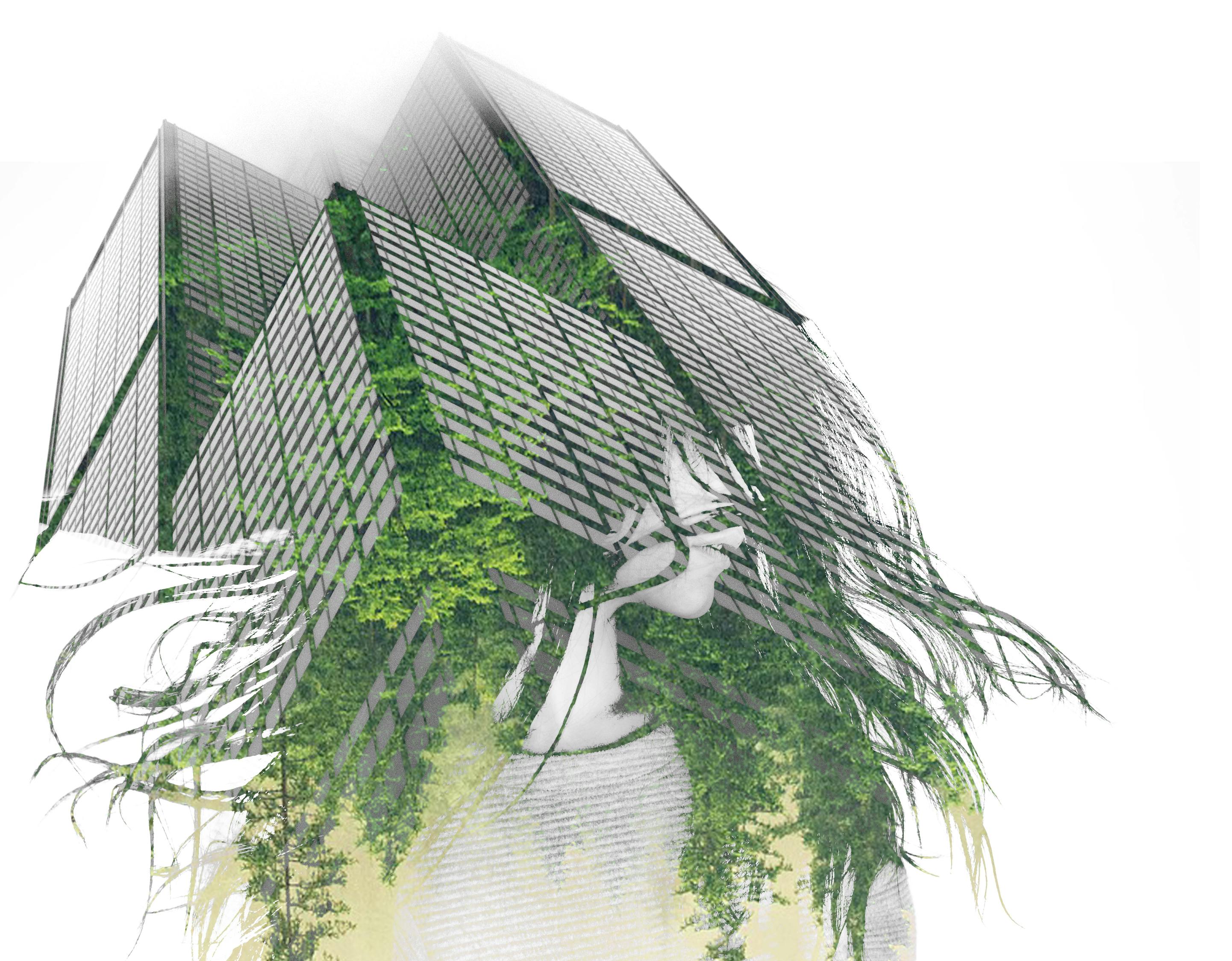 楊冪街拍生活照曝光，時(shí)尚潮流風(fēng)向標(biāo)的新動(dòng)態(tài)