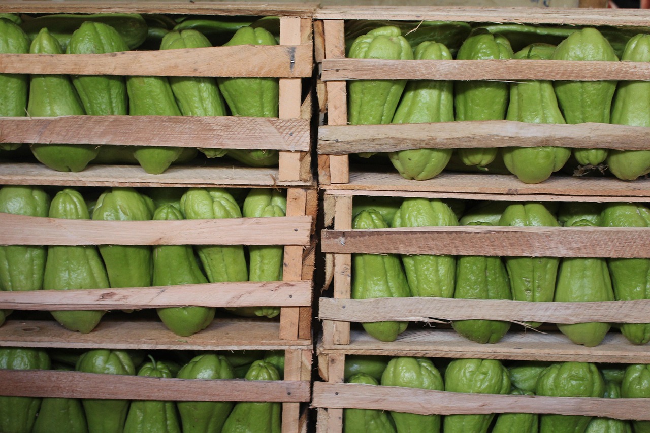 濱康綜合體最新動(dòng)態(tài)，城市發(fā)展的璀璨明珠閃耀光芒