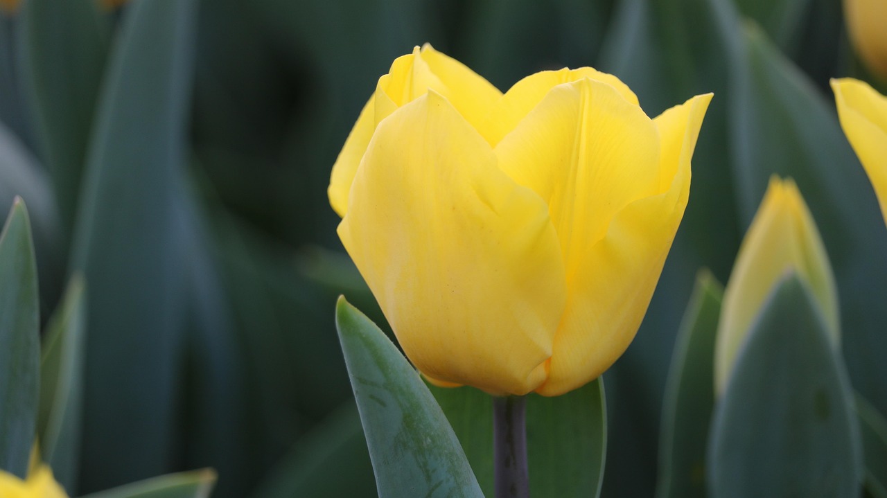 百色百投集團最新招聘動態(tài)，戰(zhàn)略背后的意義與崗位更新
