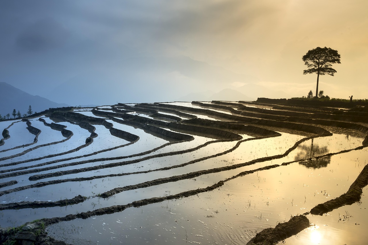 新鄉(xiāng)鳳泉湖最新進(jìn)展揭秘，生態(tài)城市壯麗序幕正式拉開！