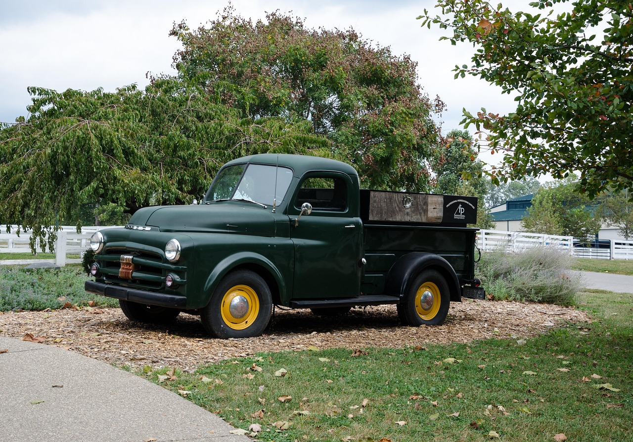 大興區(qū)蘆東路最新動態(tài)，發(fā)展進展與未來展望