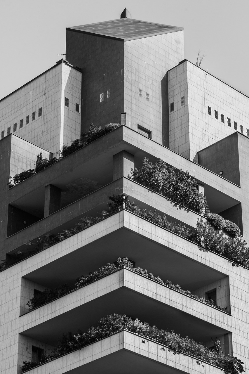 秦漢大道二期最新動態(tài)，建設(shè)進展及未來展望