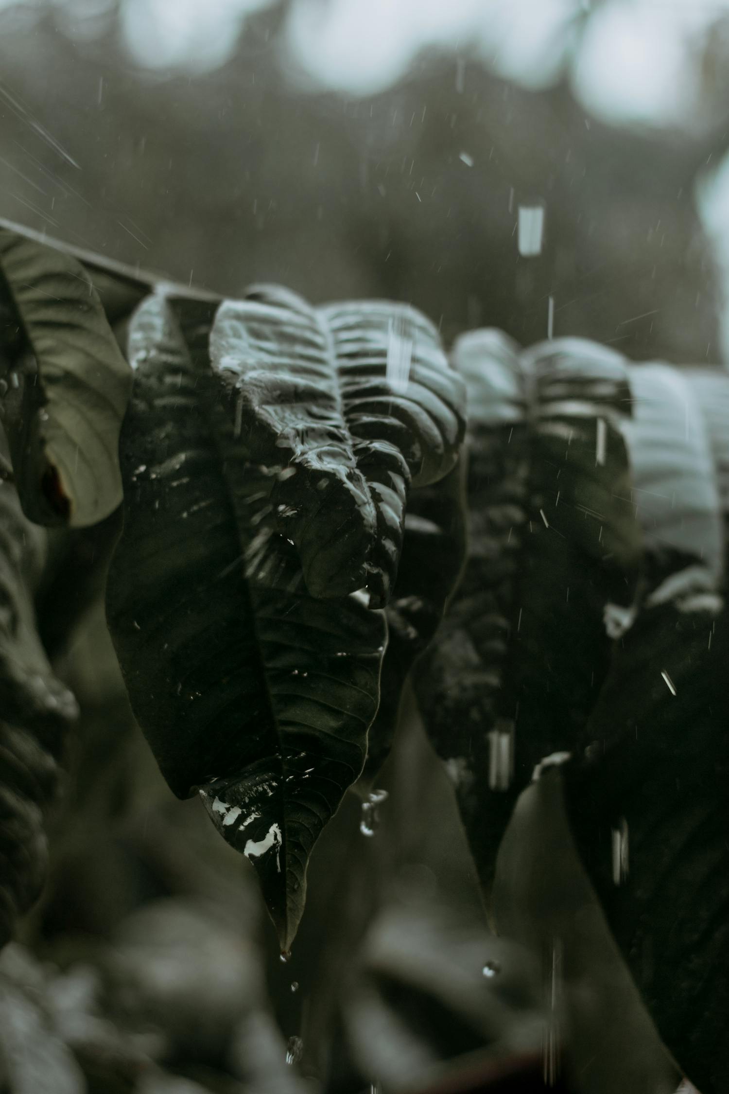 中超遼寧宏運新賽季展望，蓄勢待發(fā)，最新動態(tài)揭秘