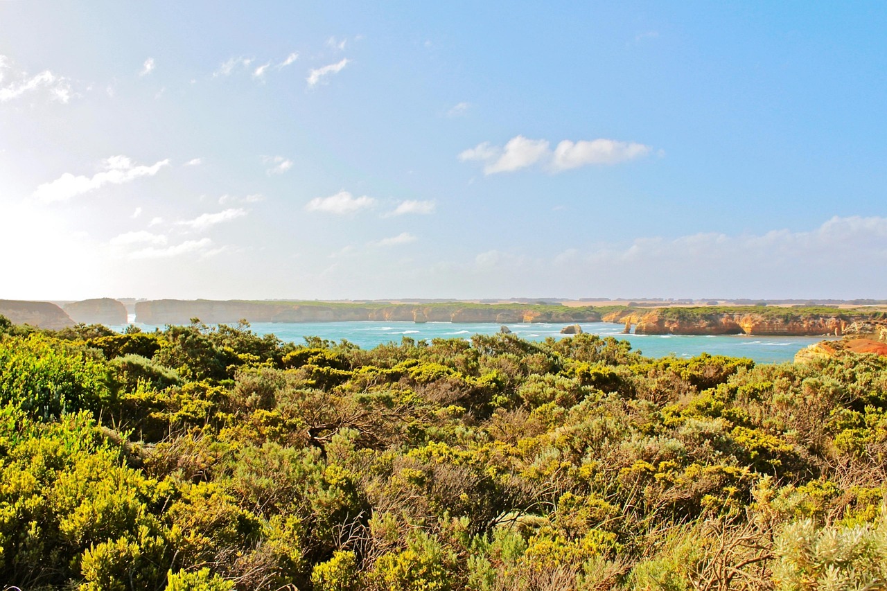 水洛鎮(zhèn)崖王村最新動態(tài)更新，最新消息匯總