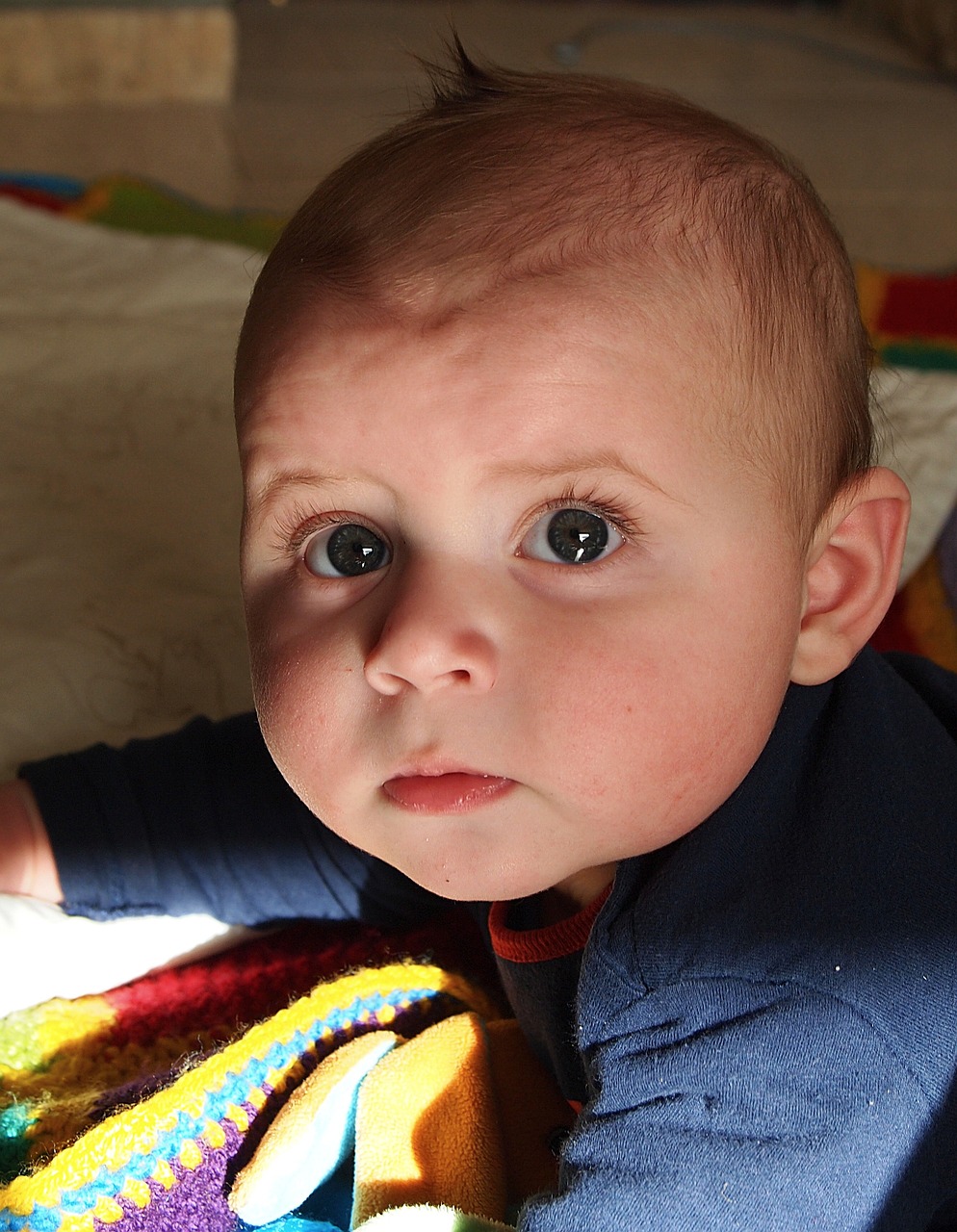 吳立勝與秦飛最新消息綜述，揭秘二人的最新動(dòng)態(tài)