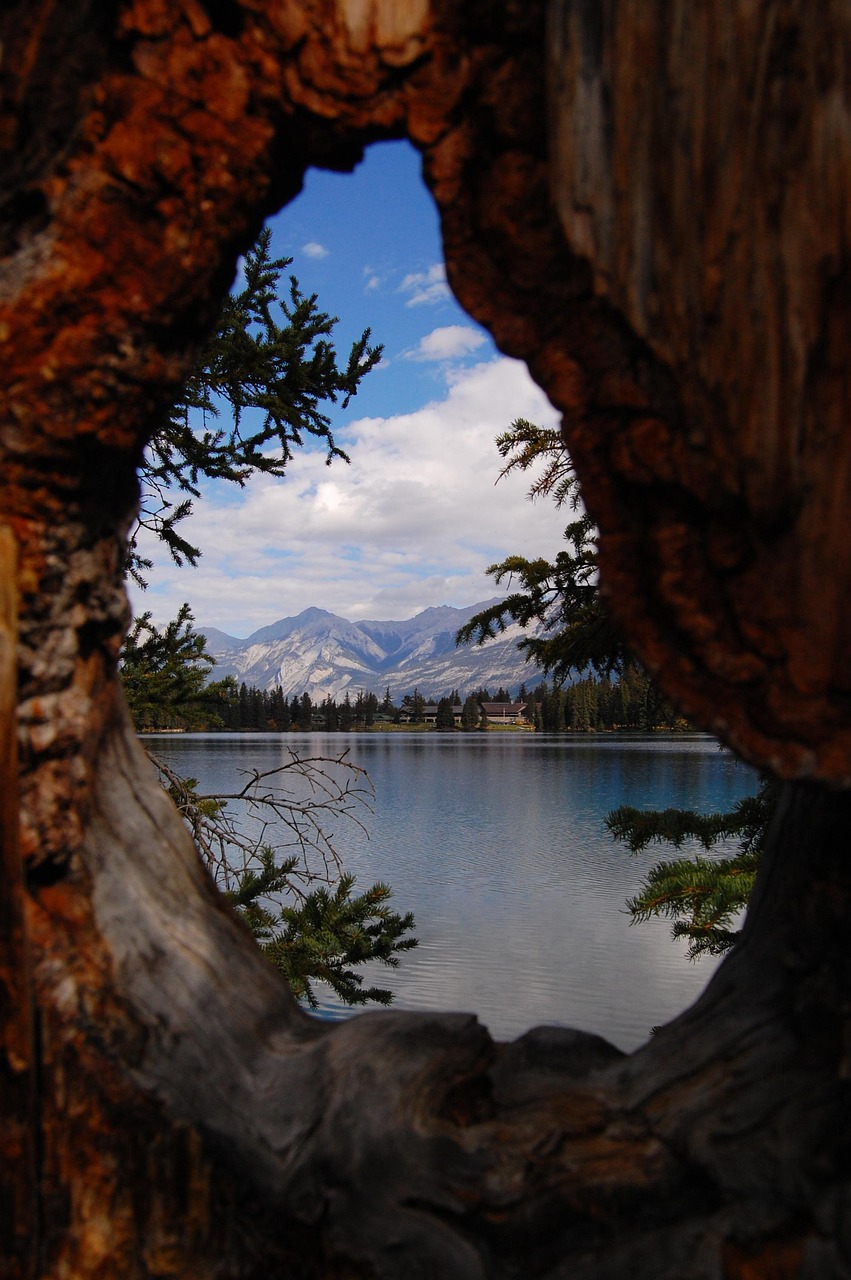 馬蓉最新動態(tài)與反思，風波中心的最新消息聚焦點