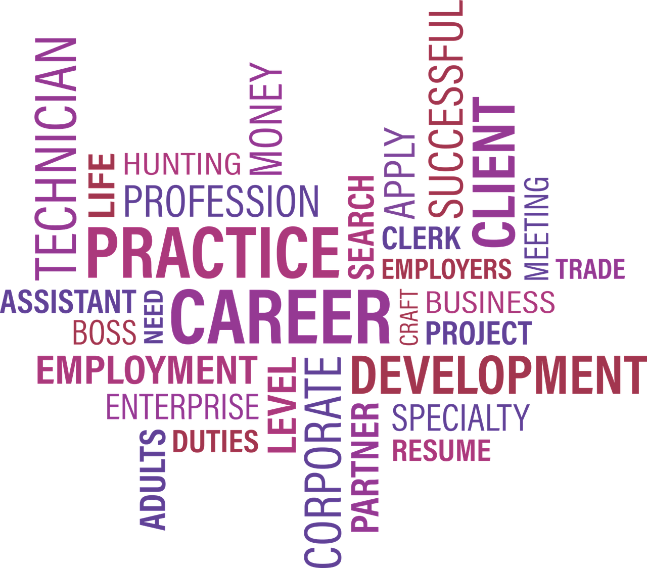 五峰魚(yú)關(guān)最新招聘信息揭秘，職業(yè)機(jī)會(huì)探討與求職指南