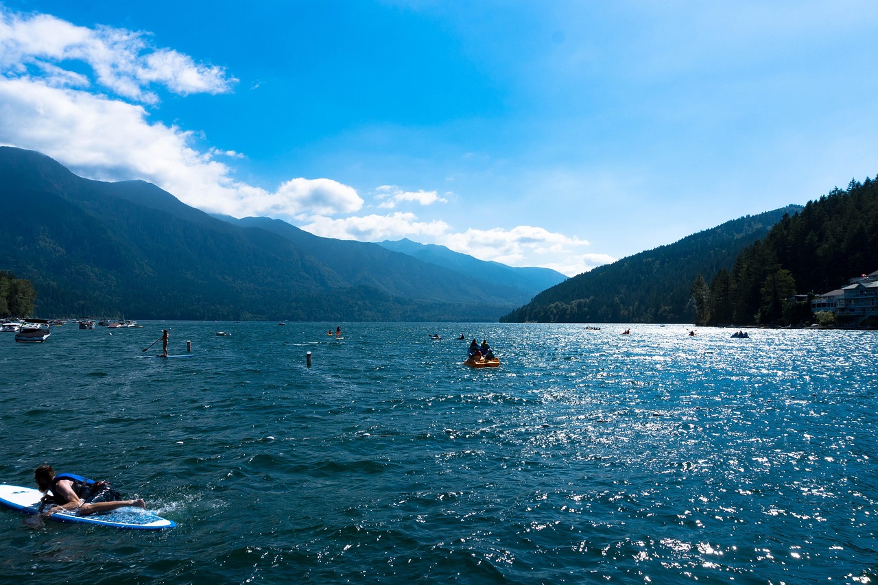 廣東省李峰最新消息概覽，最新動(dòng)態(tài)與進(jìn)展。