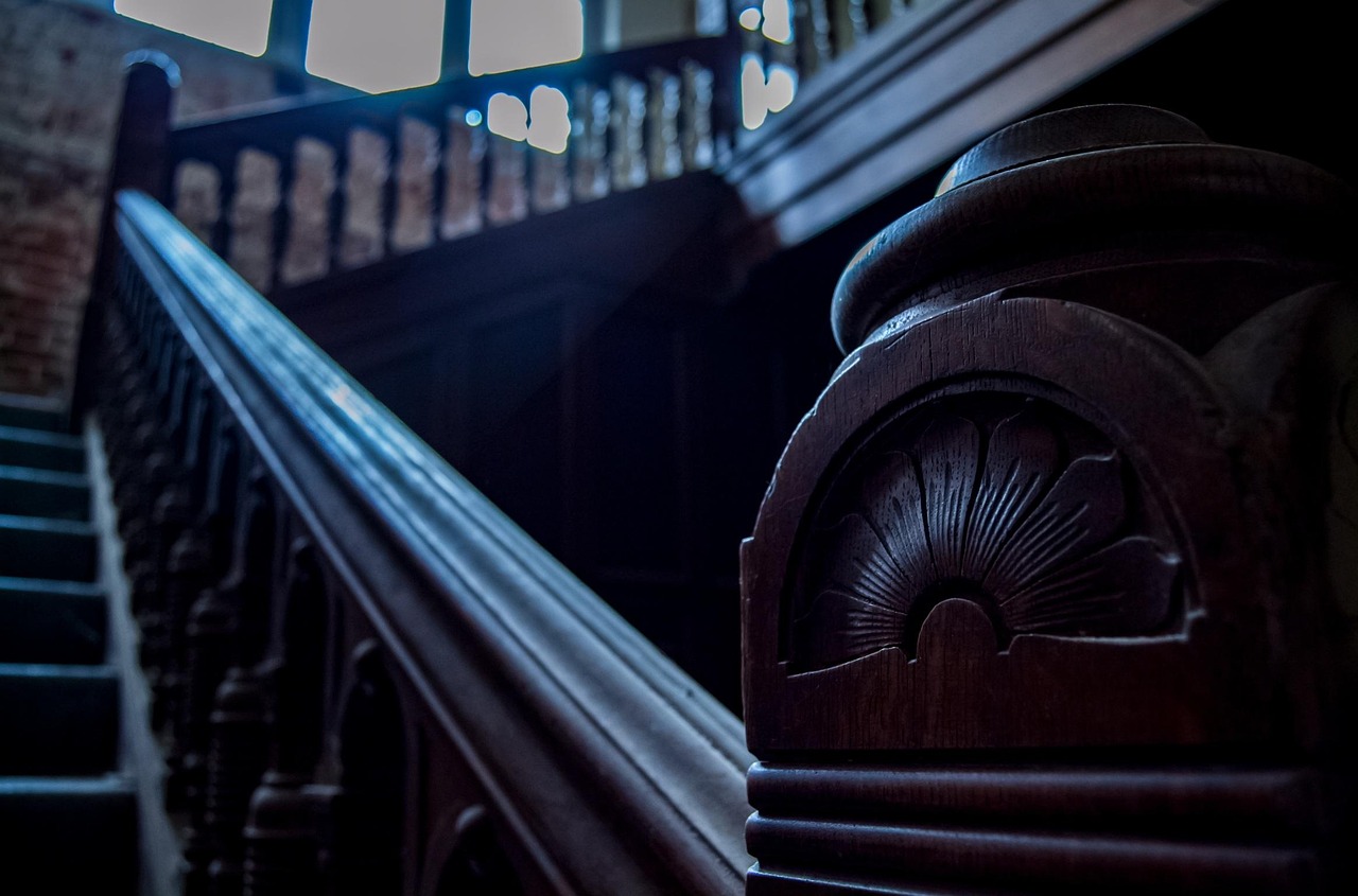 迷失單職業(yè)最新版本探索，游戲魅力的全新篇章