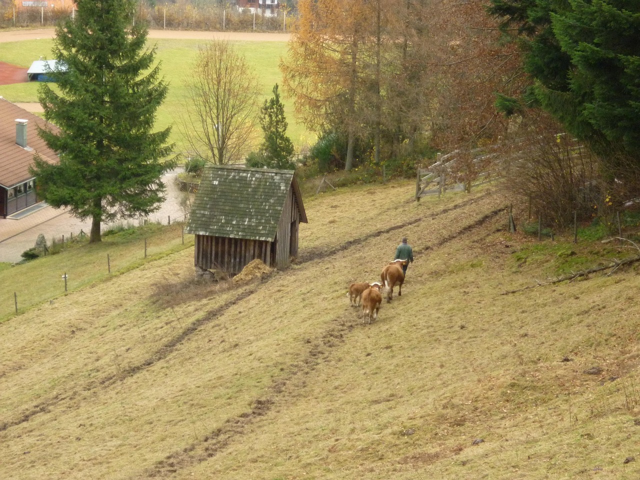 QQ農(nóng)牧場偷匪最新版，開啟游戲樂趣與挑戰(zhàn)的新篇章