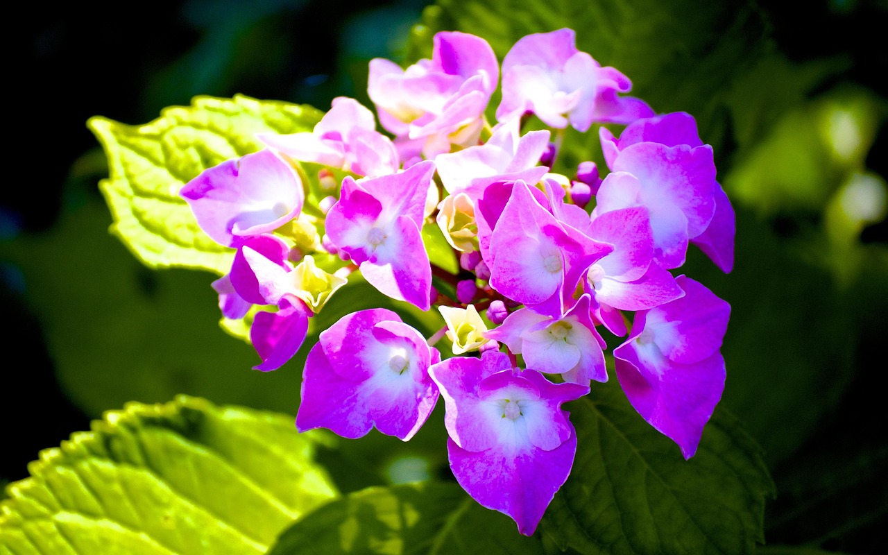 李景文將軍的最新動態(tài)，軍事生涯與卓越貢獻(xiàn)概述