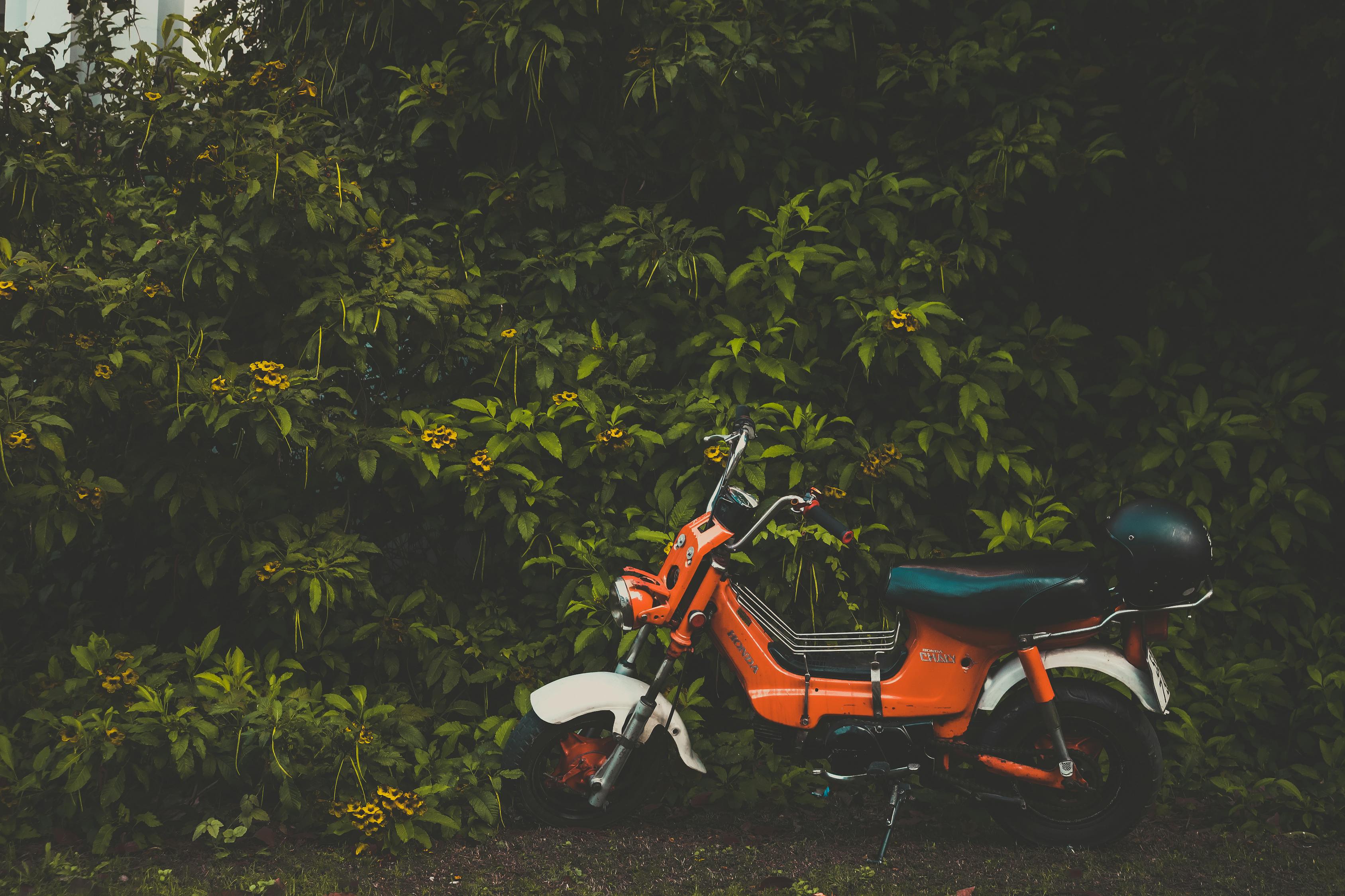 五羊本田鷙引領(lǐng)新時(shí)代摩托車技術(shù)革新，最新消息揭秘