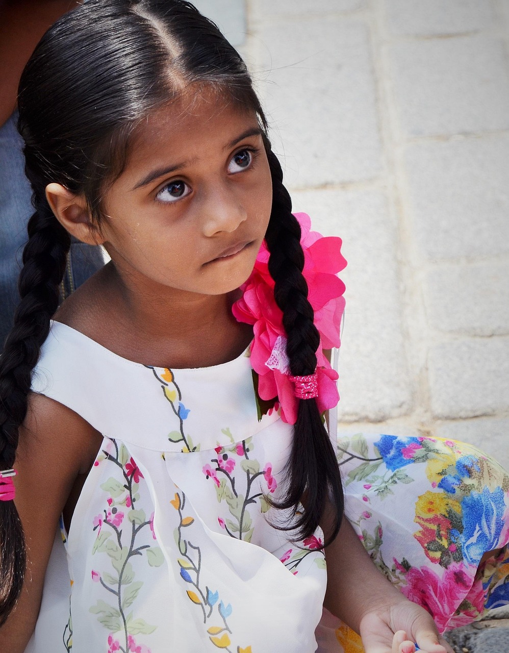 張佳寧最新力作電視劇，品質(zhì)與魅力的完美融合