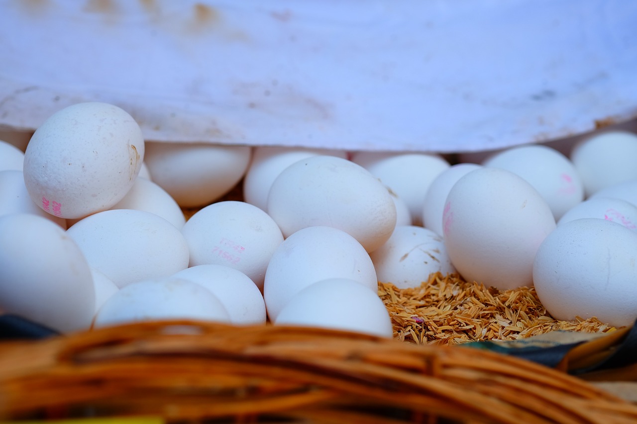 內蒙古煤炭價格走勢圖最新分析與展望，最新價格動態(tài)及未來趨勢展望