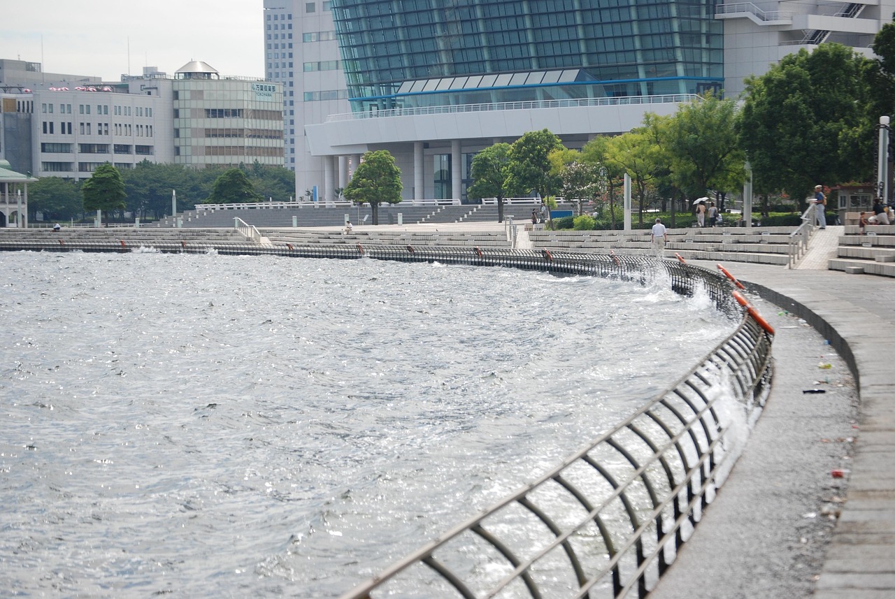 鄭州海昌海洋公園最新動(dòng)態(tài)揭秘，揭開神秘面紗，展現(xiàn)海洋魅力奇觀