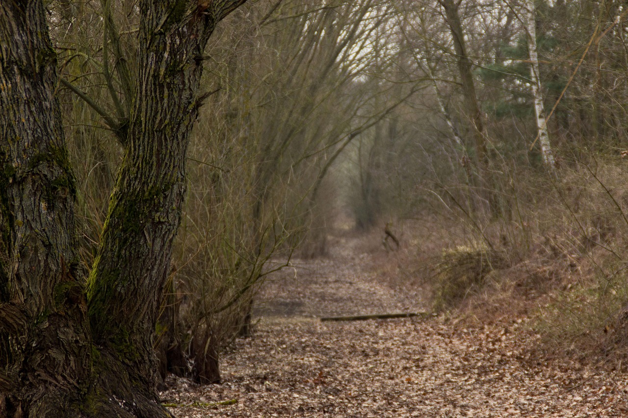 北京農(nóng)貿(mào)市場最新價(jià)格表及動態(tài)更新