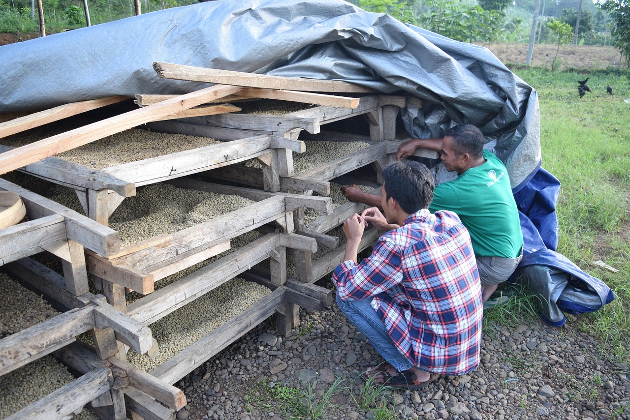 定州鑫源一品最新動(dòng)態(tài)全面解析