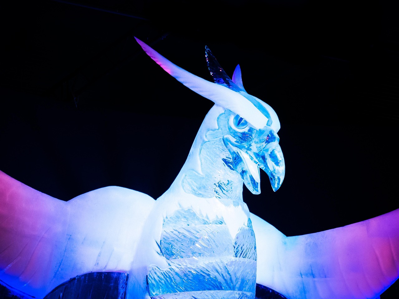 內(nèi)蒙古王東偉最新動態(tài)，揭開神秘面紗，展現(xiàn)新時(shí)代風(fēng)采