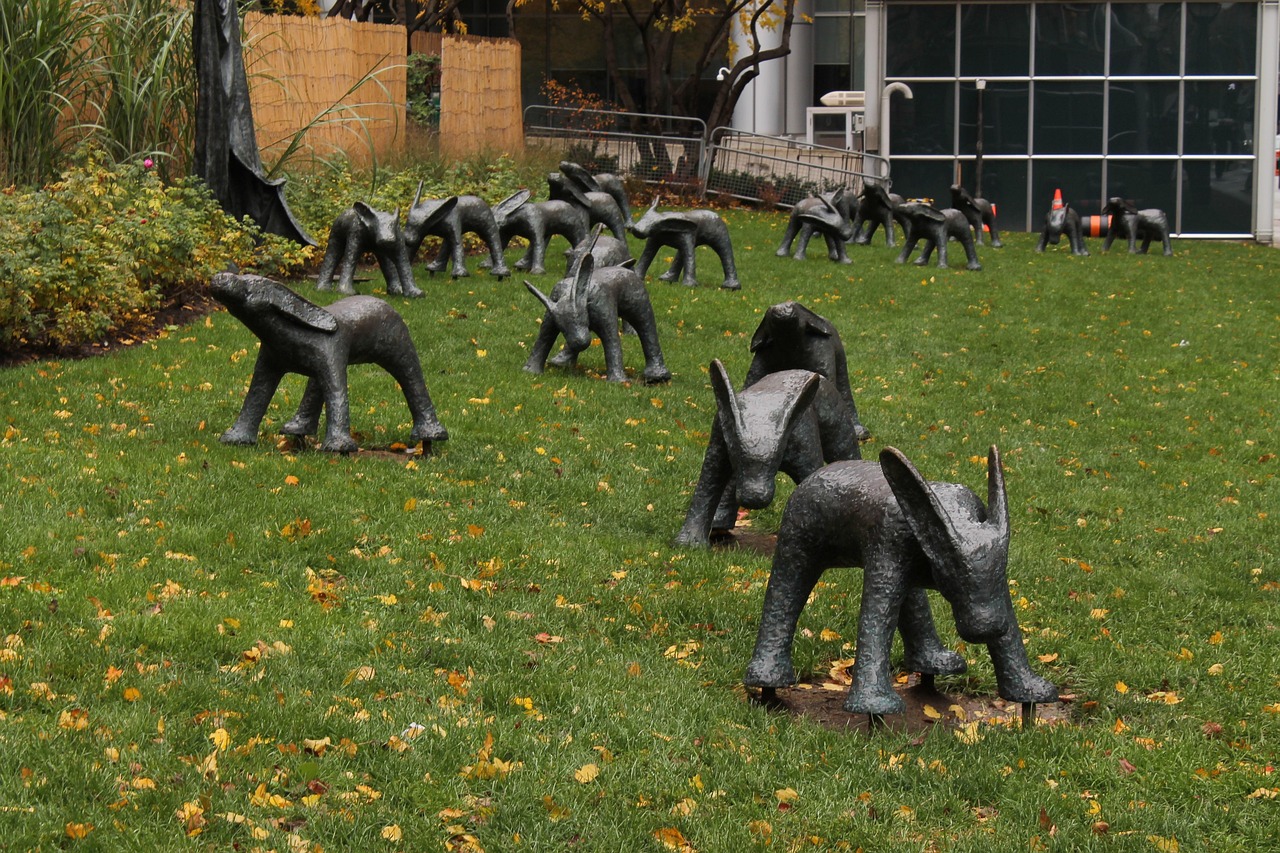 安湯一體化最新動(dòng)態(tài)，引領(lǐng)城市發(fā)展的新浪潮