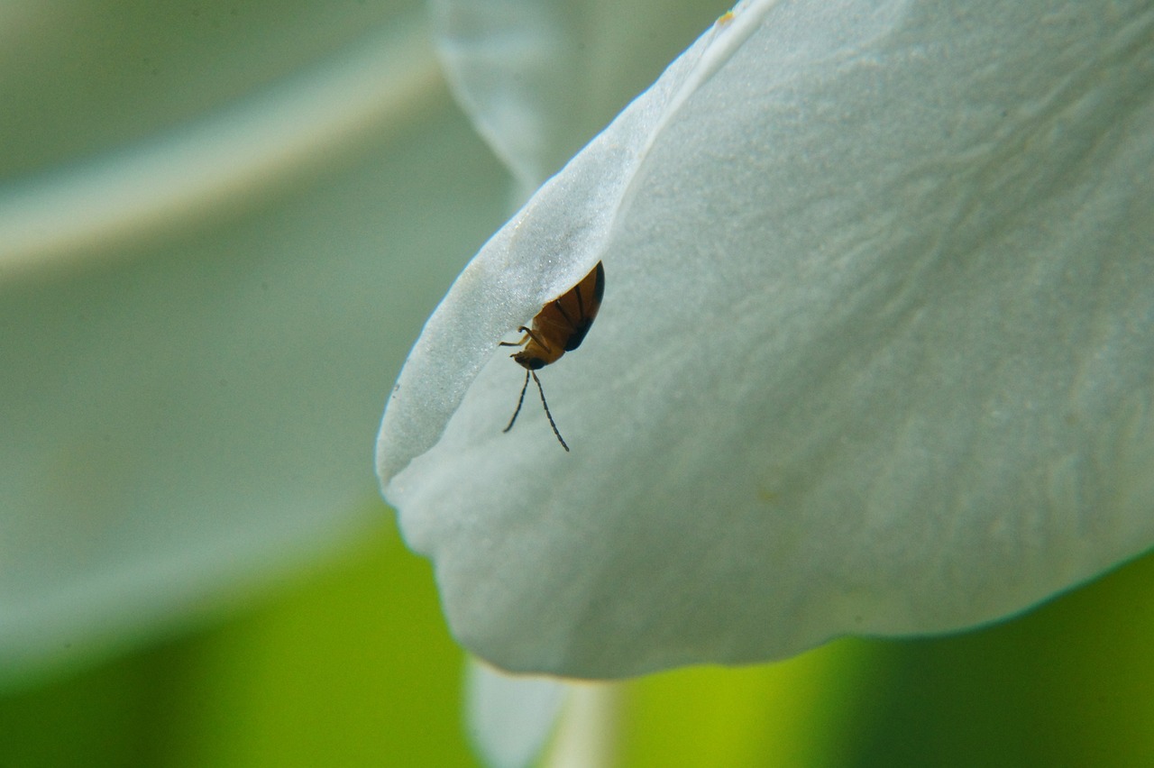 濟南地鐵R2線最新進展報告更新，最新動態(tài)揭秘！