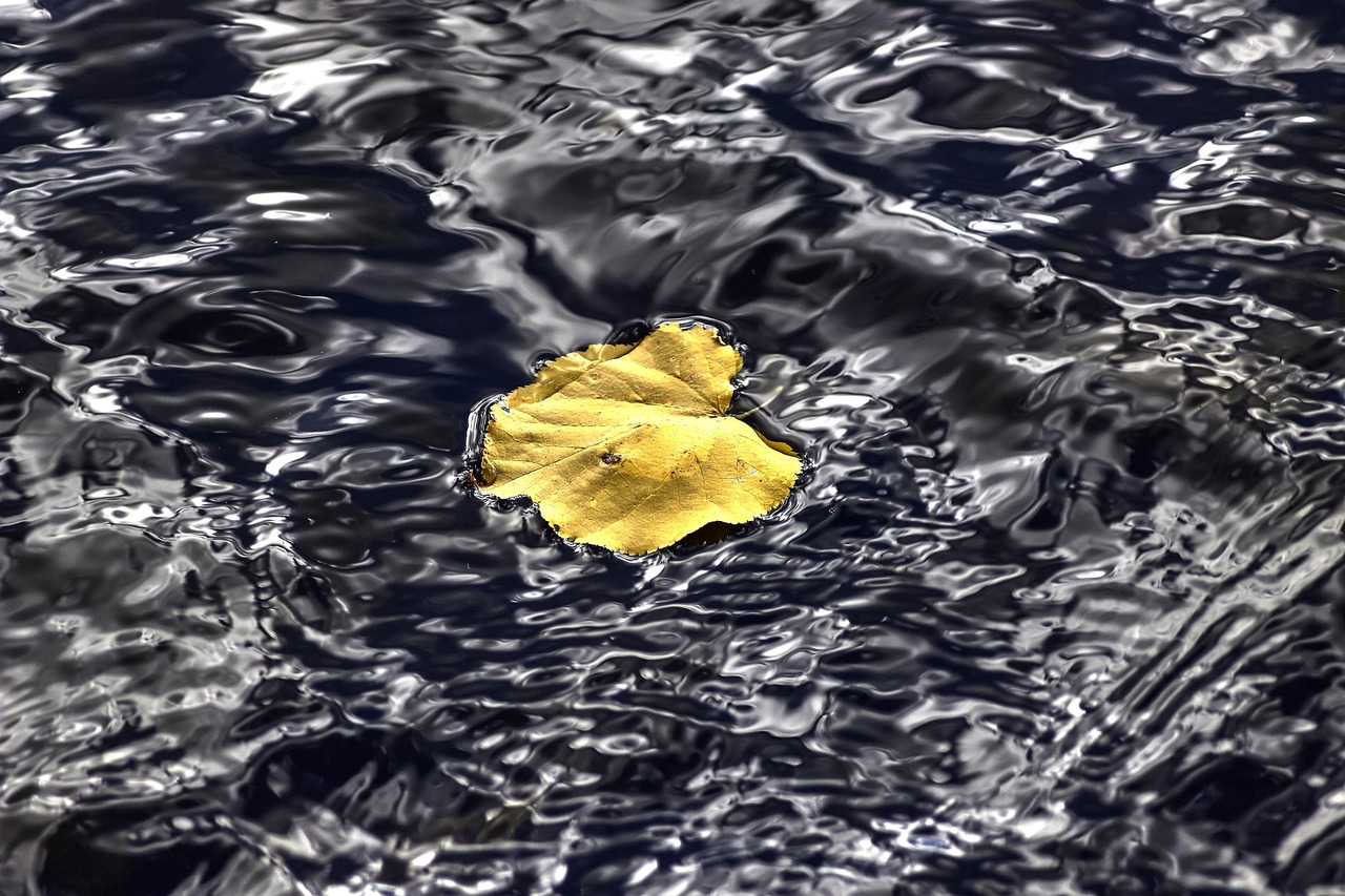 內(nèi)蒙古自治區(qū)政府最新人事任免動態(tài)公布