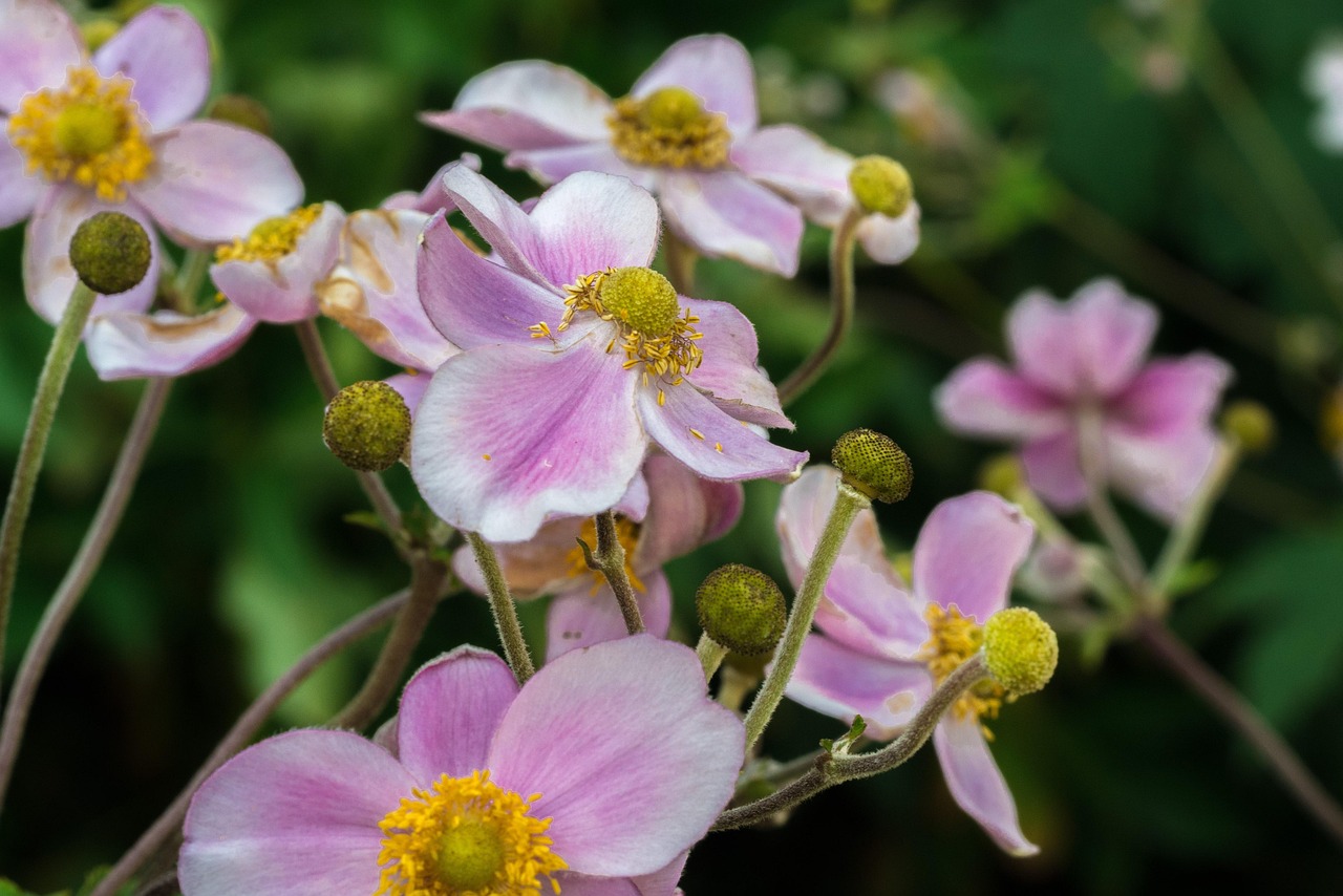 馬刺最新動態(tài)，持續(xù)進(jìn)化，蓄勢待發(fā)啟航新征程