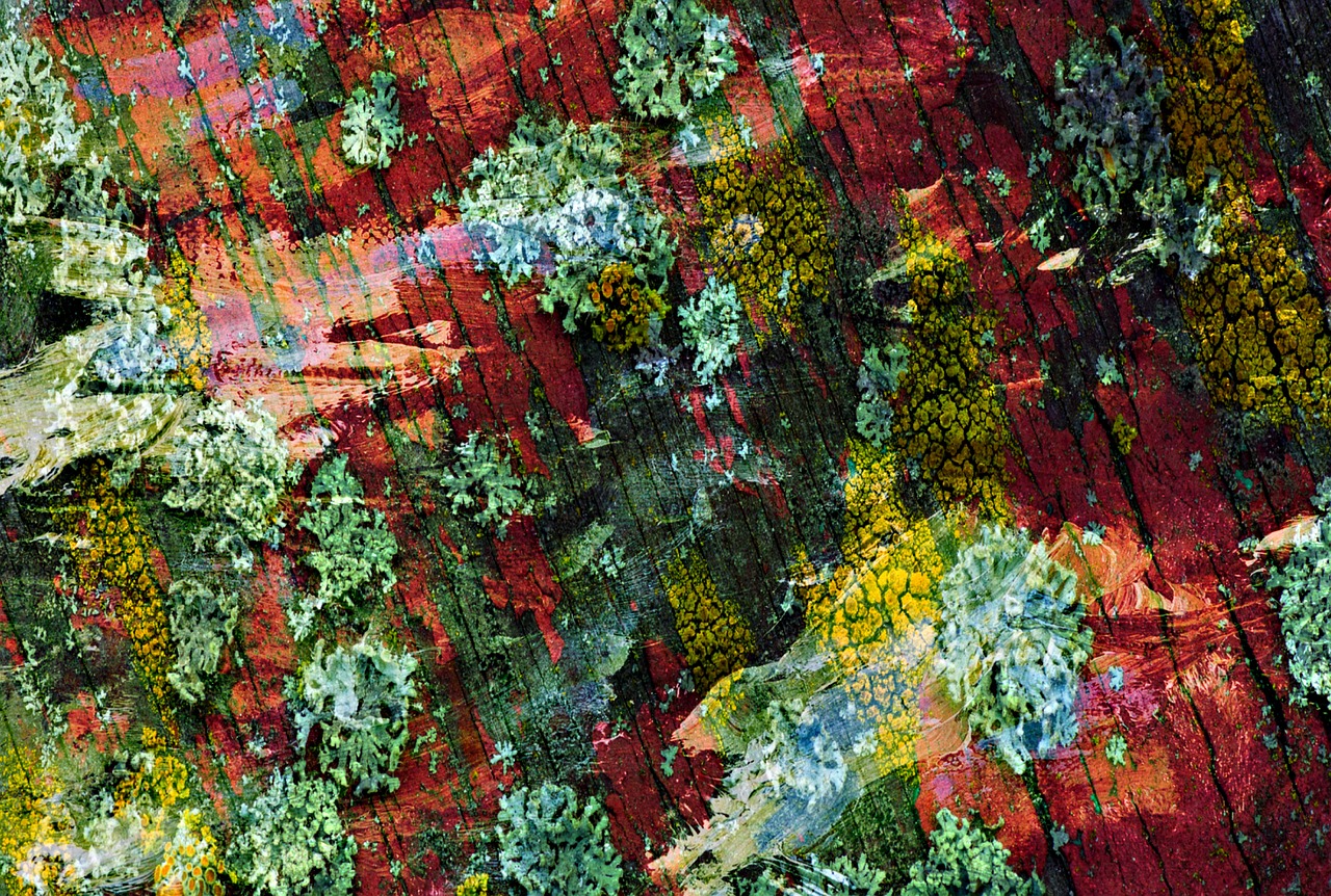 自然與現(xiàn)代交融的山野雜家新風(fēng)貌，鄉(xiāng)村新篇章