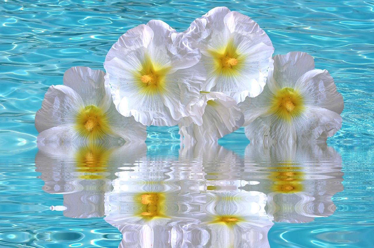 加勒比海域動(dòng)態(tài)更新，海盜活動(dòng)頻繁，警惕性需提升（最新報(bào)告 06月15日）